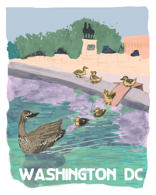Ducklings at the Capitol Reflective Pool [#70]