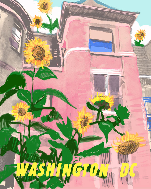 Sunflowers and Row Houses [#82]